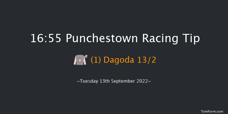 Punchestown 16:55 Handicap 9f Sun 29th May 2022