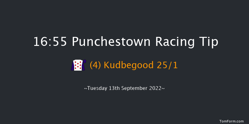 Punchestown 16:55 Handicap 9f Sun 29th May 2022