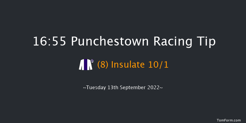 Punchestown 16:55 Handicap 9f Sun 29th May 2022