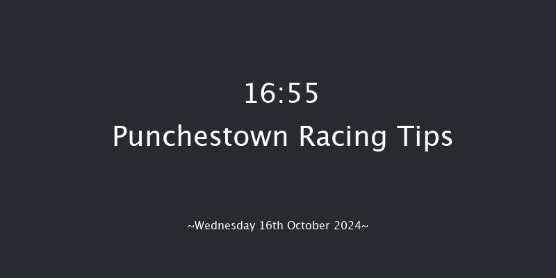 Punchestown  16:55 Maiden Chase 17f Tue 15th Oct 2024