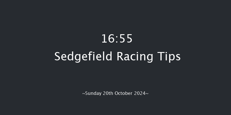 Sedgefield  16:55 Handicap Hurdle (Class 3) 20f Wed 9th Oct 2024