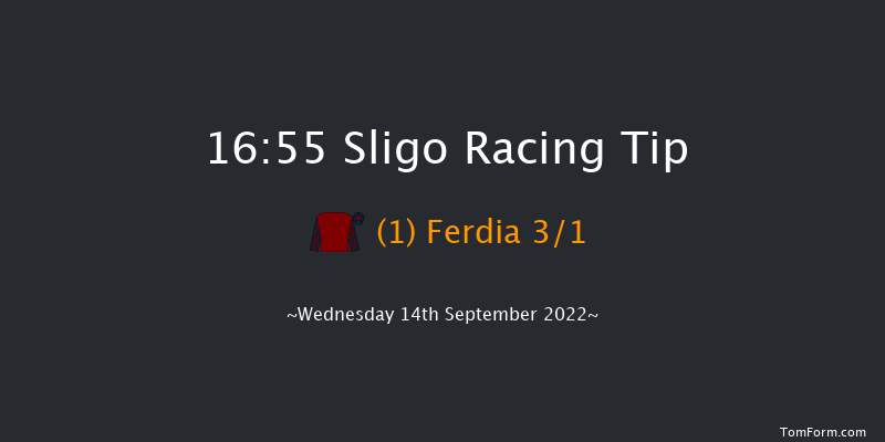 Sligo 16:55 Conditions Chase 21f Wed 17th Aug 2022