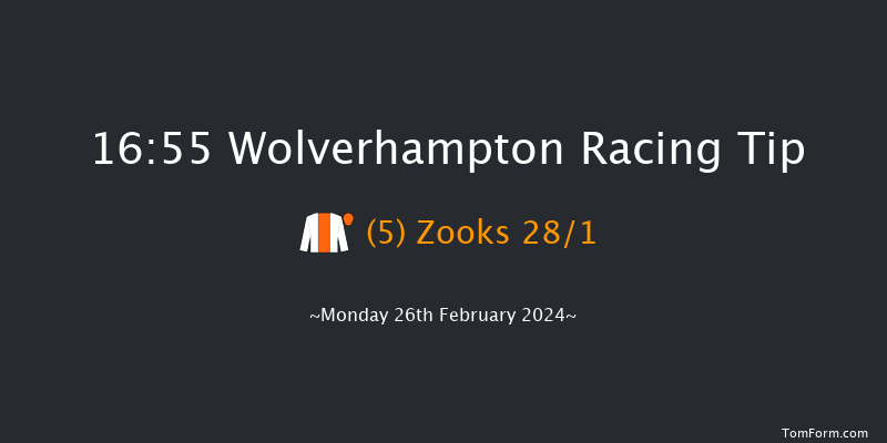 Wolverhampton  16:55 Handicap (Class 5) 10f Fri 23rd Feb 2024