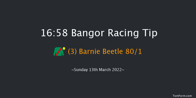 Bangor 16:58 Novices Hurdle (Class 4) 17f Fri 11th Feb 2022