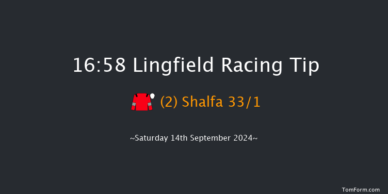 Lingfield  16:58 Handicap (Class 6) 10f Wed 11th Sep 2024