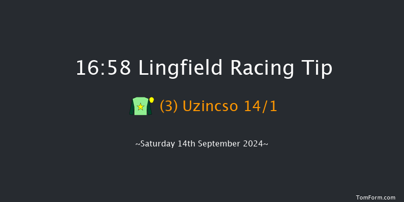 Lingfield  16:58 Handicap (Class 6) 10f Wed 11th Sep 2024