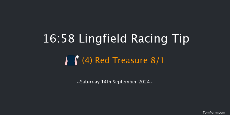 Lingfield  16:58 Handicap (Class 6) 10f Wed 11th Sep 2024