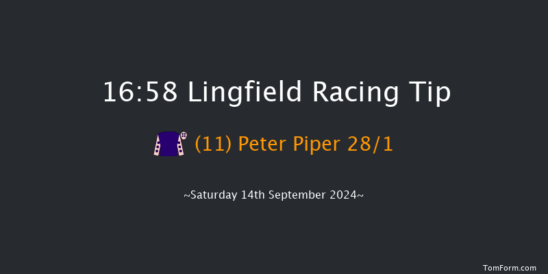 Lingfield  16:58 Handicap (Class 6) 10f Wed 11th Sep 2024