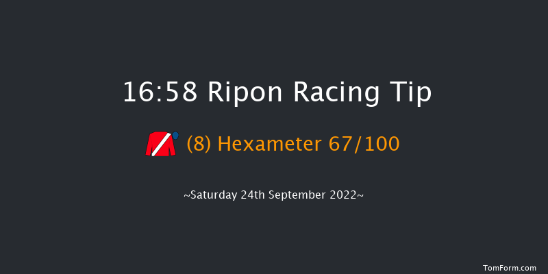 Ripon 16:58 Stakes (Class 5) 12f Tue 30th Aug 2022