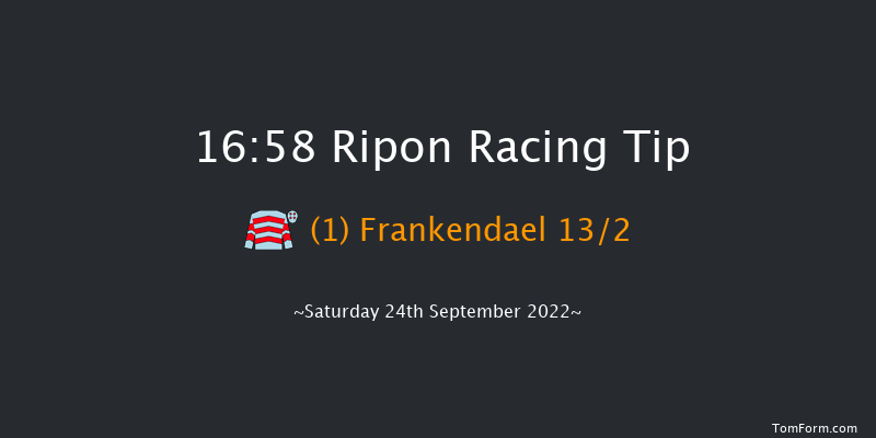 Ripon 16:58 Stakes (Class 5) 12f Tue 30th Aug 2022