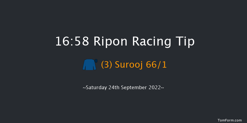 Ripon 16:58 Stakes (Class 5) 12f Tue 30th Aug 2022