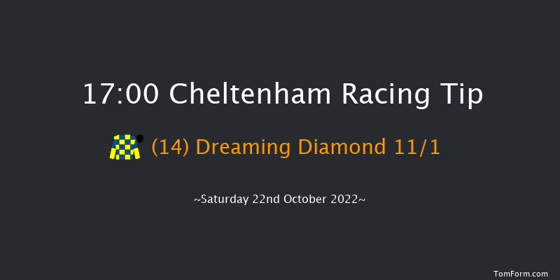 Cheltenham 17:00 NH Flat Race (Class 2) 16f Fri 21st Oct 2022