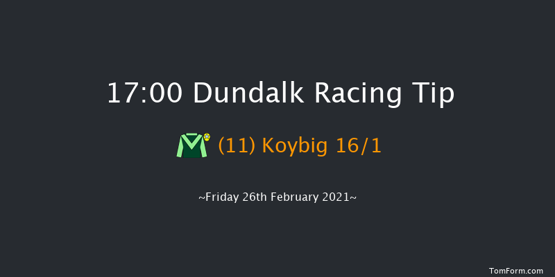 Crowne Plaza Hotel Dundalk Handicap Dundalk 17:00 Handicap 8f Fri 19th Feb 2021