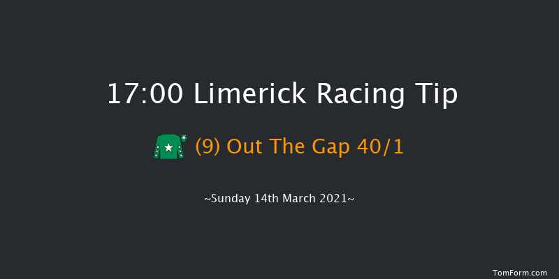 Adare (Pro/Am) Flat Race Limerick 17:00 NH Flat Race 16f Wed 30th Dec 2020