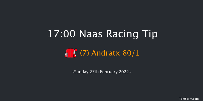 Naas 17:00 Handicap Hurdle 16f Sat 12th Feb 2022