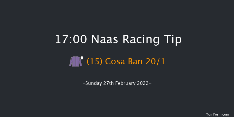 Naas 17:00 Handicap Hurdle 16f Sat 12th Feb 2022