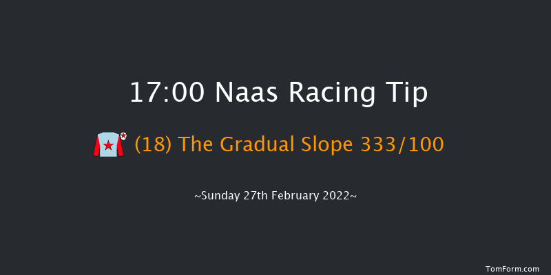 Naas 17:00 Handicap Hurdle 16f Sat 12th Feb 2022