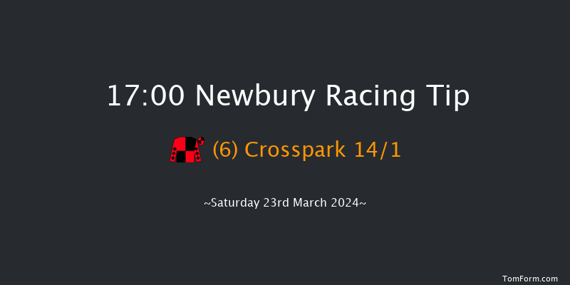 Newbury  17:00 Handicap Chase (Class 3) 23f Fri 22nd Mar 2024