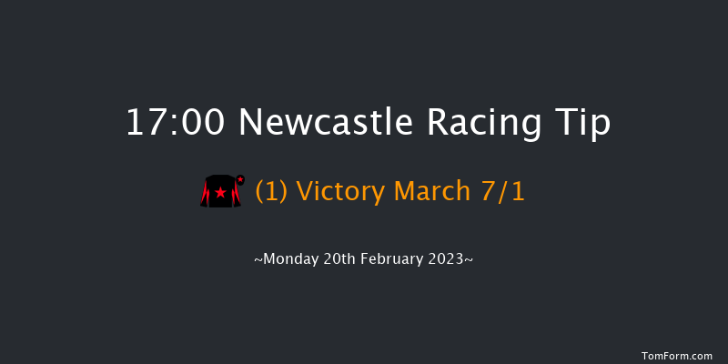 Newcastle 17:00 Handicap (Class 5) 12f Sat 18th Feb 2023