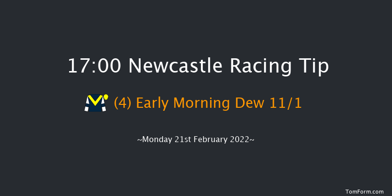 Newcastle 17:00 Handicap (Class 4) 10f Sat 19th Feb 2022