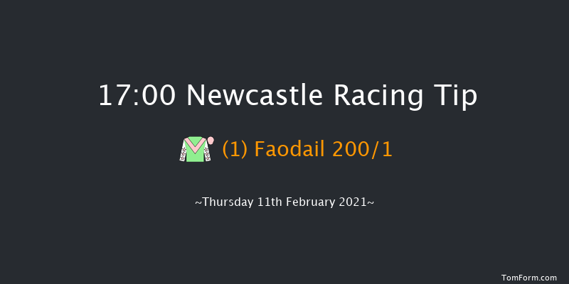 Ladbrokes Home Of The Odds Boost Fillies' Novice Stakes Newcastle 17:00 Stakes (Class 5) 8f Wed 10th Feb 2021