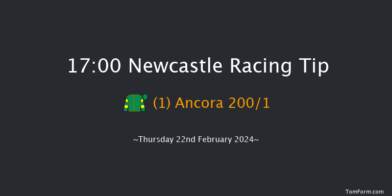 Newcastle  17:00 Maiden (Class 4) 10f Tue 20th Feb 2024