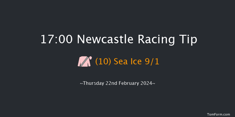 Newcastle  17:00 Maiden (Class 4) 10f Tue 20th Feb 2024