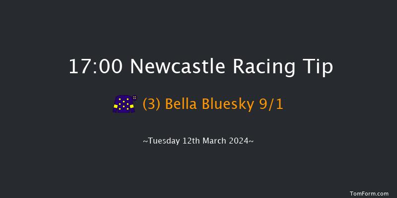 Newcastle  17:00 Handicap (Class 6) 12f Fri 8th Mar 2024