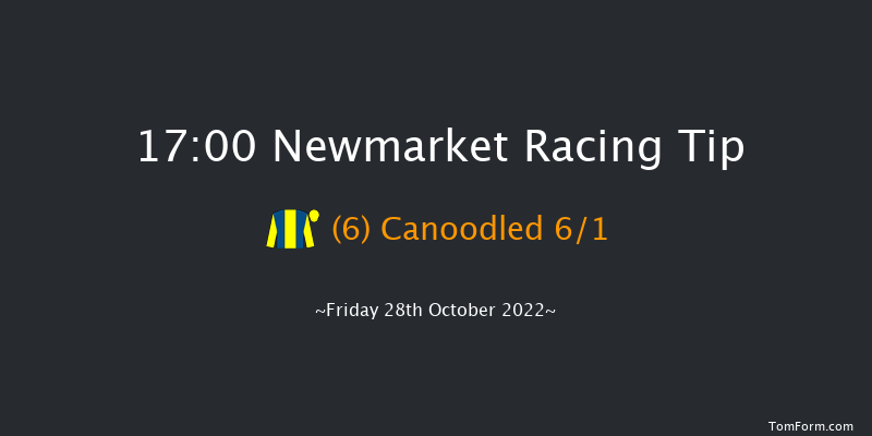 Newmarket 17:00 Handicap (Class 5) 8f Wed 19th Oct 2022