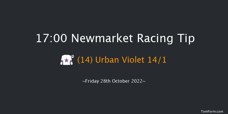 Newmarket 17:00 Handicap (Class 5) 8f Wed 19th Oct 2022