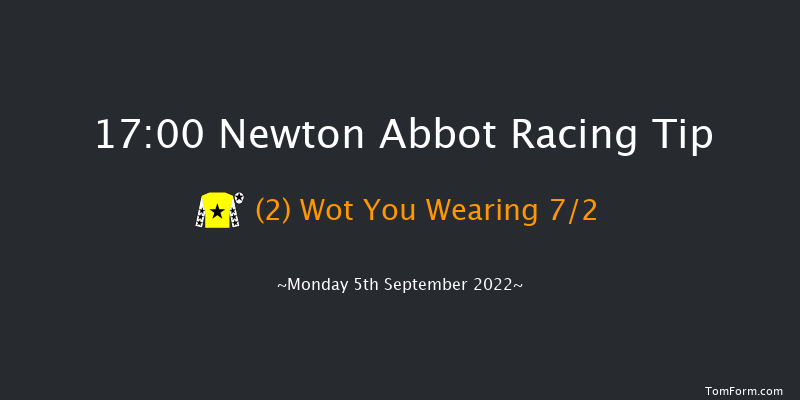 Newton Abbot 17:00 NH Flat Race (Class 5) 17f Tue 30th Aug 2022