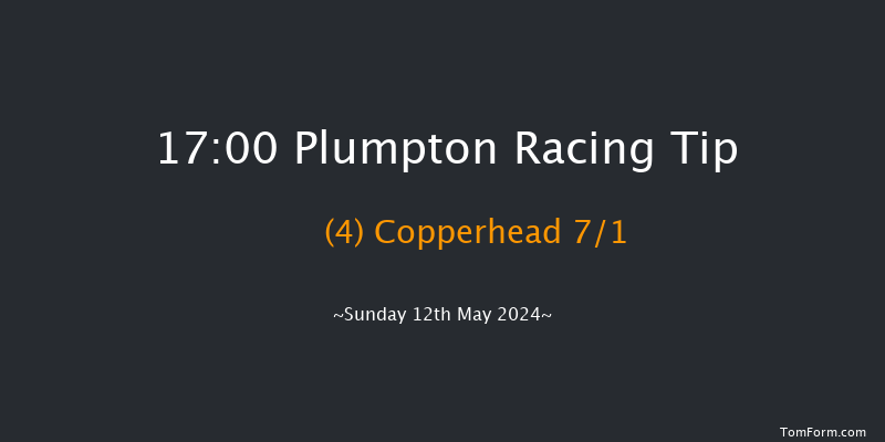 Plumpton  17:00 Handicap Chase (Class 4)
26f Sun 14th Apr 2024