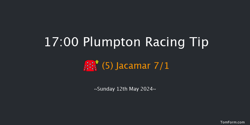 Plumpton  17:00 Handicap Chase (Class 4)
26f Sun 14th Apr 2024