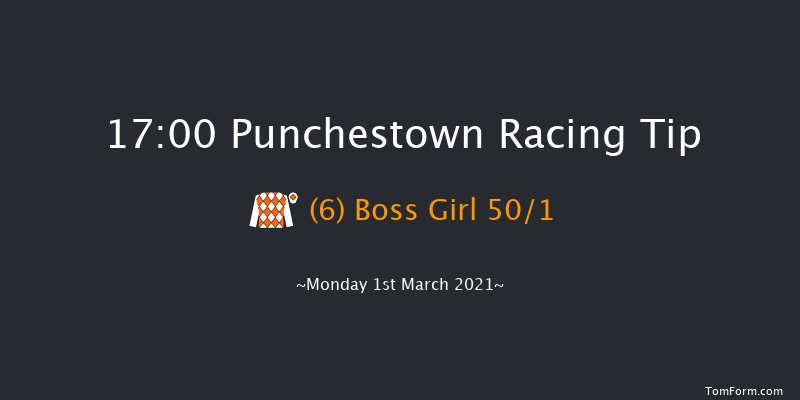 Punchestown Handicap Hurdle (80-95) Punchestown 17:00 Handicap Hurdle 20f Sun 14th Feb 2021