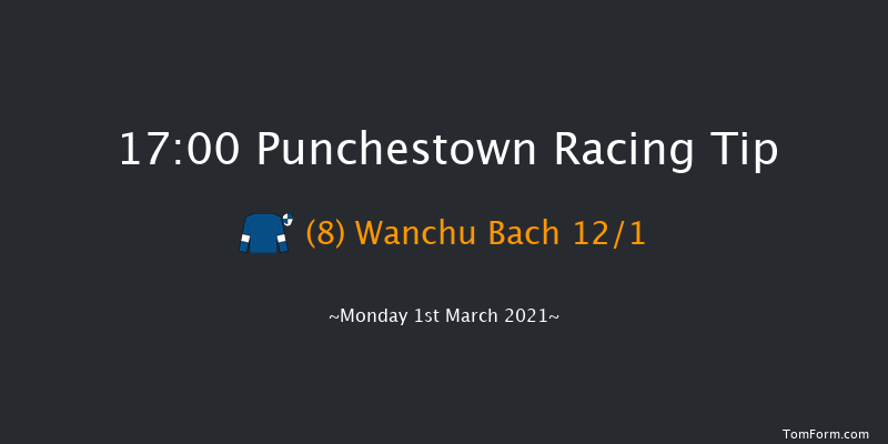 Punchestown Handicap Hurdle (80-95) Punchestown 17:00 Handicap Hurdle 20f Sun 14th Feb 2021