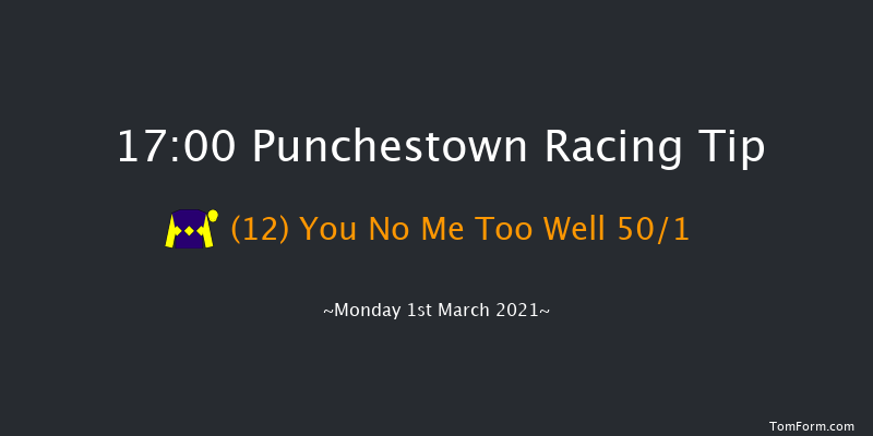 Punchestown Handicap Hurdle (80-95) Punchestown 17:00 Handicap Hurdle 20f Sun 14th Feb 2021