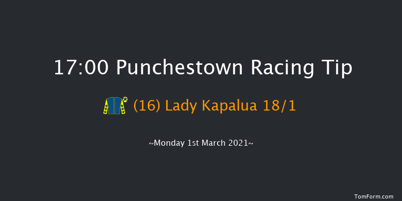 Punchestown Handicap Hurdle (80-95) Punchestown 17:00 Handicap Hurdle 20f Sun 14th Feb 2021