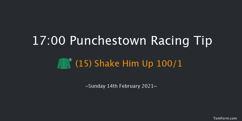 Happy Valentines Day (Pro/Am) Flat Race Punchestown 17:00 NH Flat Race 16f Mon 18th Jan 2021