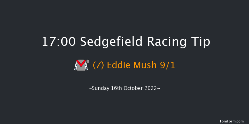 Sedgefield 17:00 NH Flat Race (Class 5) 17f Wed 5th Oct 2022