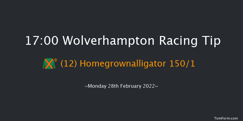 Wolverhampton 17:00 Handicap (Class 6) 10f Sat 26th Feb 2022