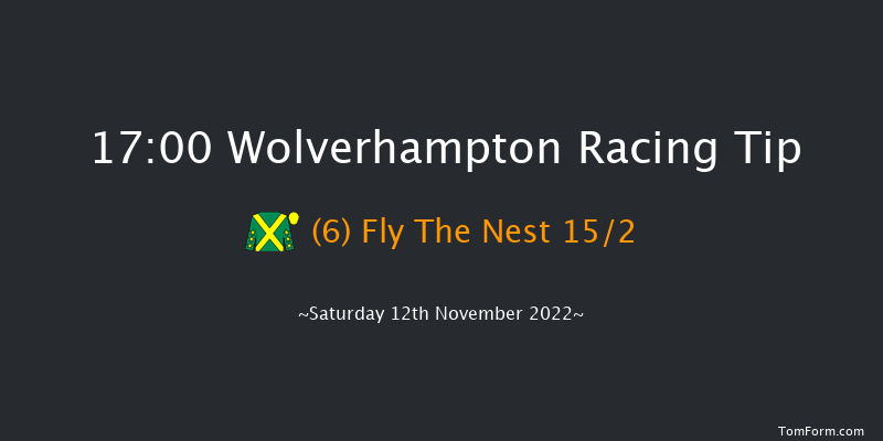 Wolverhampton 17:00 Handicap (Class 6) 9f Fri 11th Nov 2022