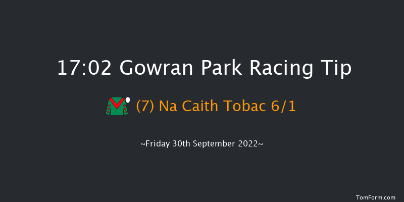 Gowran Park 17:02 Handicap Hurdle 20f Sat 17th Sep 2022