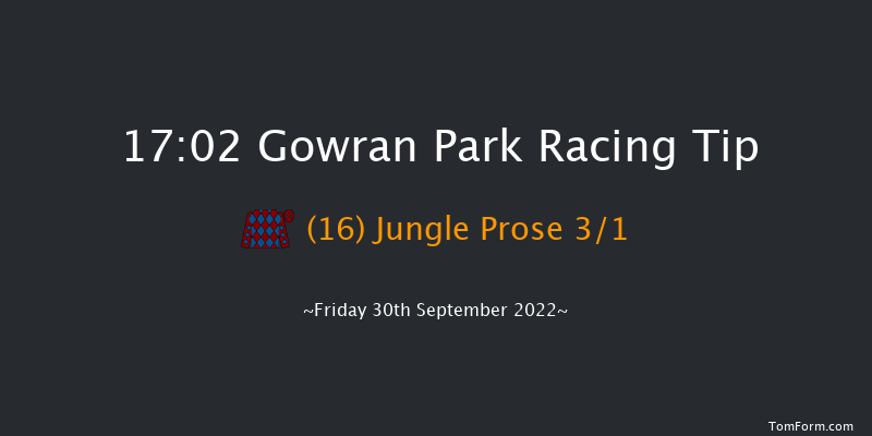 Gowran Park 17:02 Handicap Hurdle 20f Sat 17th Sep 2022