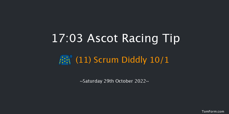 Ascot 17:03 NH Flat Race (Class 4) 16f Sat 15th Oct 2022