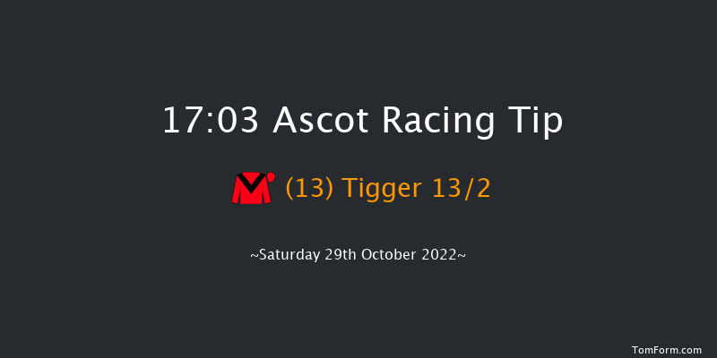 Ascot 17:03 NH Flat Race (Class 4) 16f Sat 15th Oct 2022