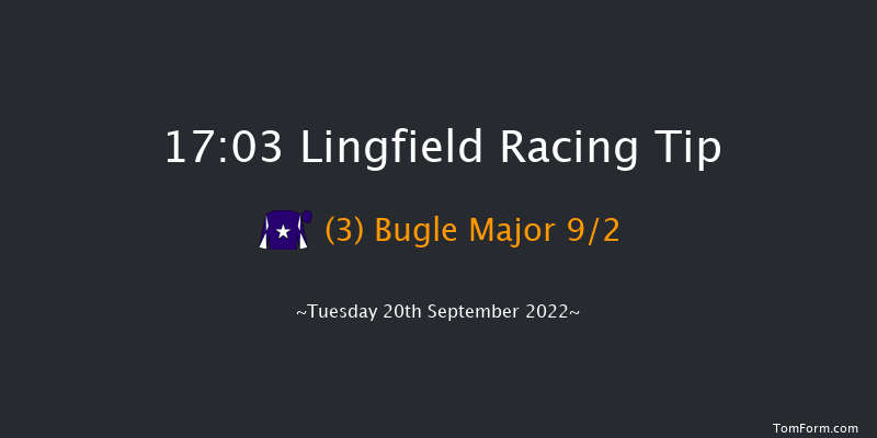 Lingfield 17:03 Handicap (Class 5) 10f Wed 31st Aug 2022