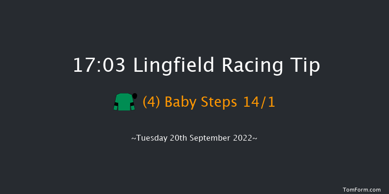 Lingfield 17:03 Handicap (Class 5) 10f Wed 31st Aug 2022