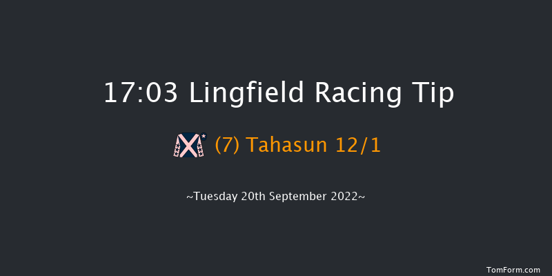 Lingfield 17:03 Handicap (Class 5) 10f Wed 31st Aug 2022