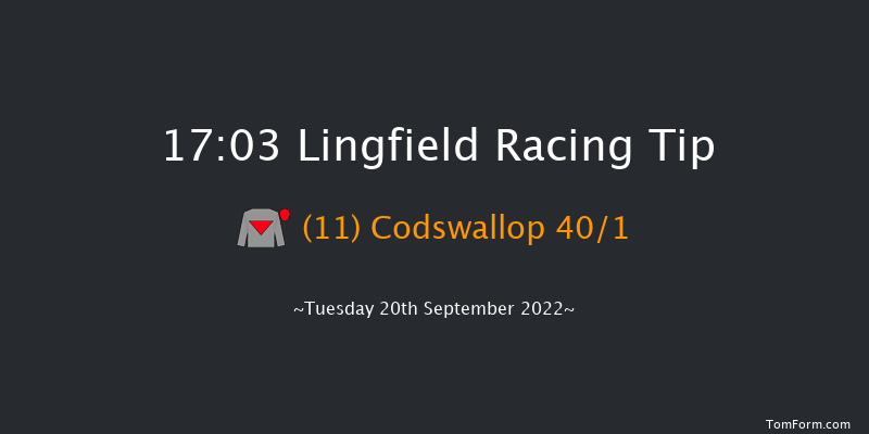 Lingfield 17:03 Handicap (Class 5) 10f Wed 31st Aug 2022