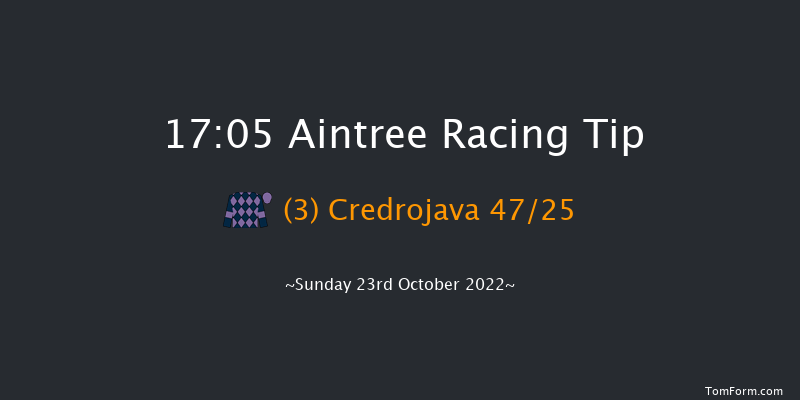 Aintree 17:05 NH Flat Race (Class 4) 17f Fri 10th Jun 2022